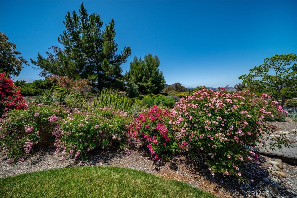 San Luis Obispo(380) - Residential