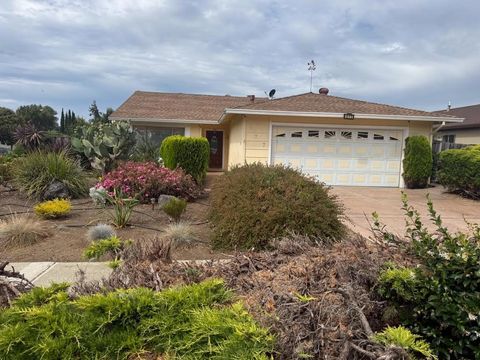 Photo of 677 Lava Way, San Jose, CA 95133 (MLS # ML82054031)