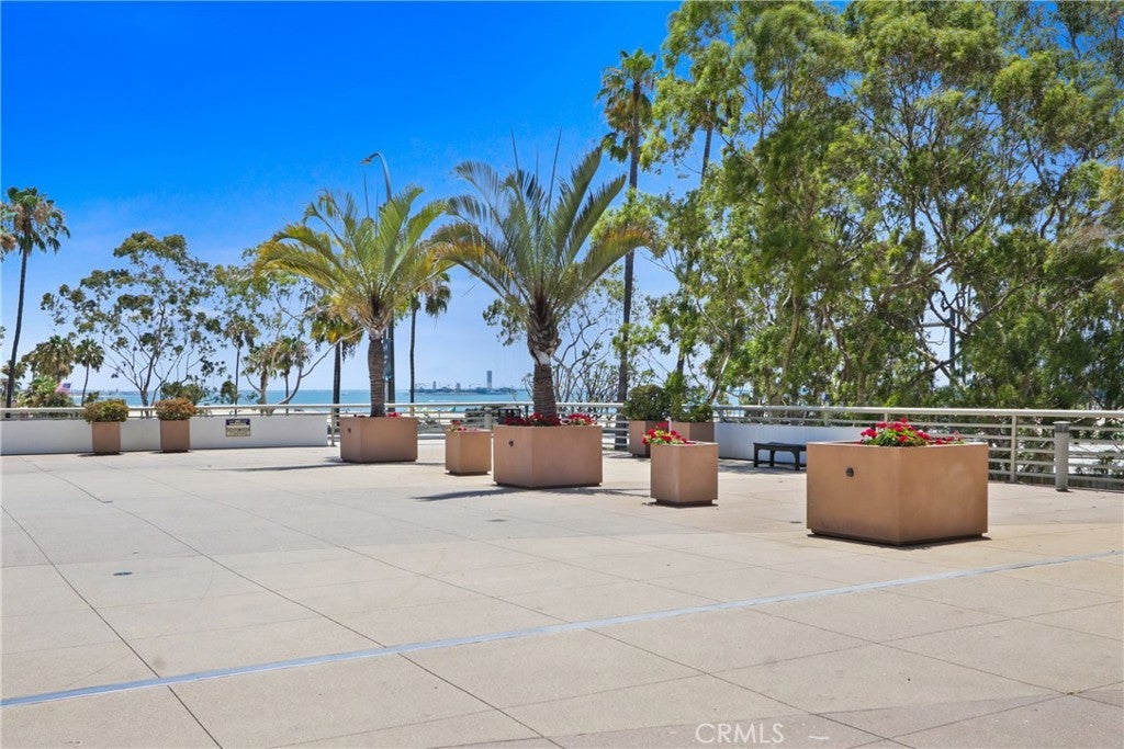 700 E Ocean Boulevard 1102