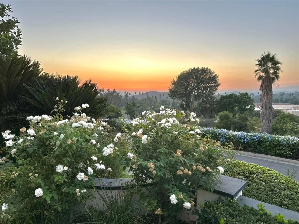 2552 Sunset