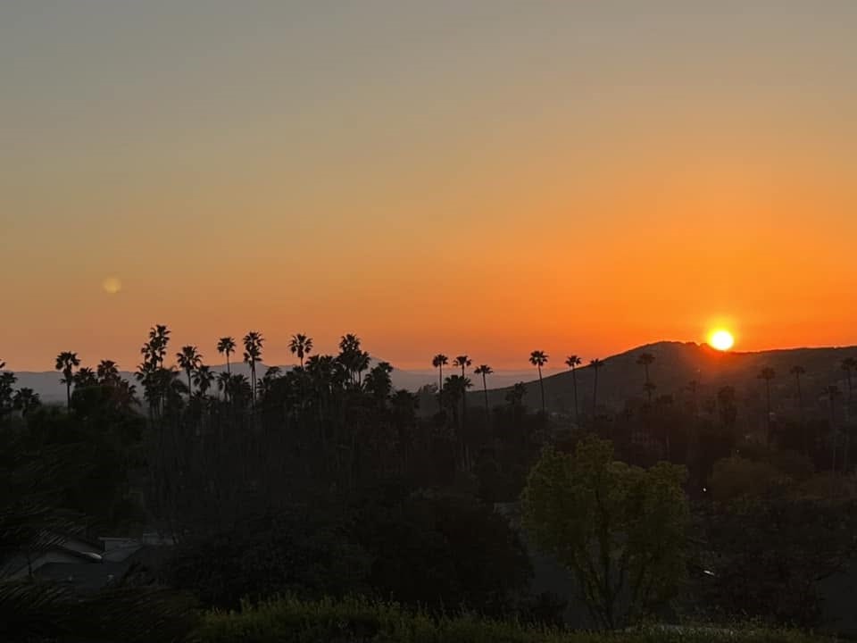 2552 Sunset
