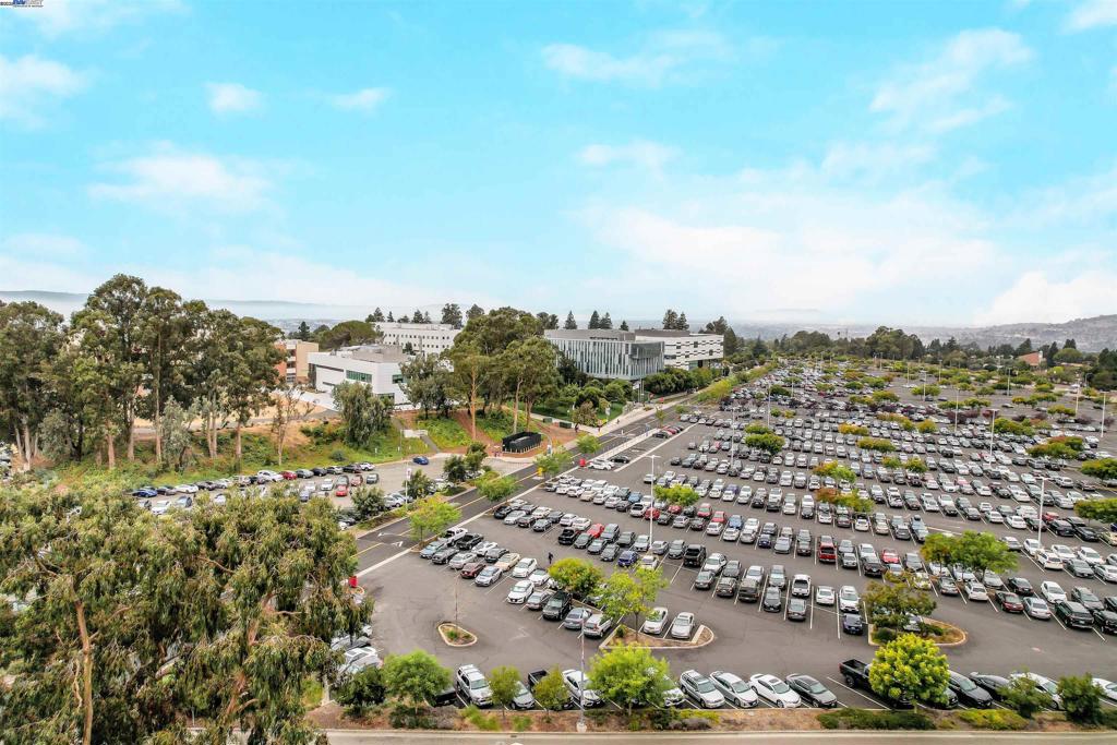 UNIVERSITY HILLS - Residential