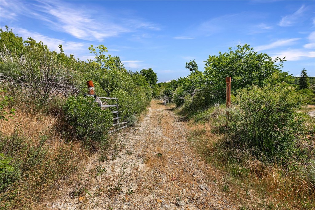 4.73 acres in Concow!!! 4189 Schwyhart Ln and 4177 Schwyhart Ln belong to the same APN, both properties to be sold together. There is a septic tank, two wells, and power already to the property. Condition unknown. Come build your dream home in the mountains on this beautiful piece of property.