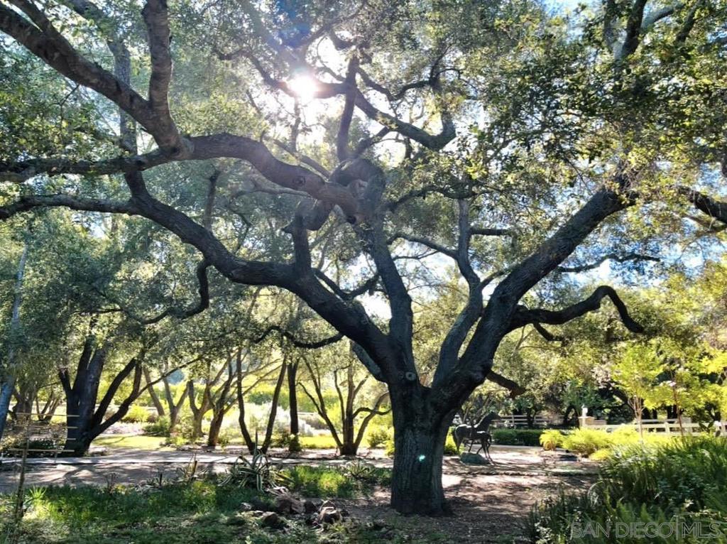 Out Of Area - Residential