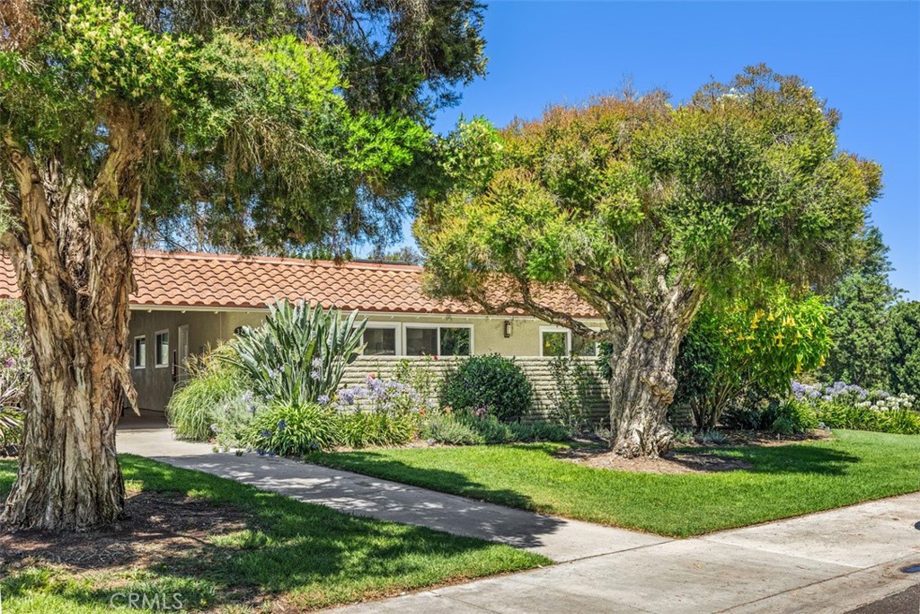3253 San Amadeo P