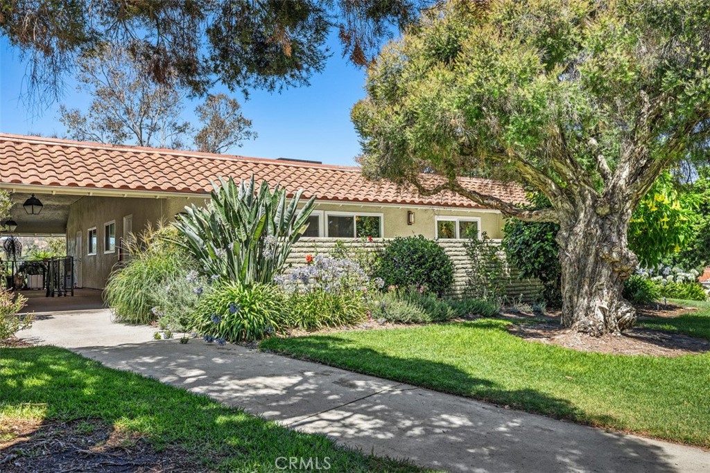 3253 San Amadeo P