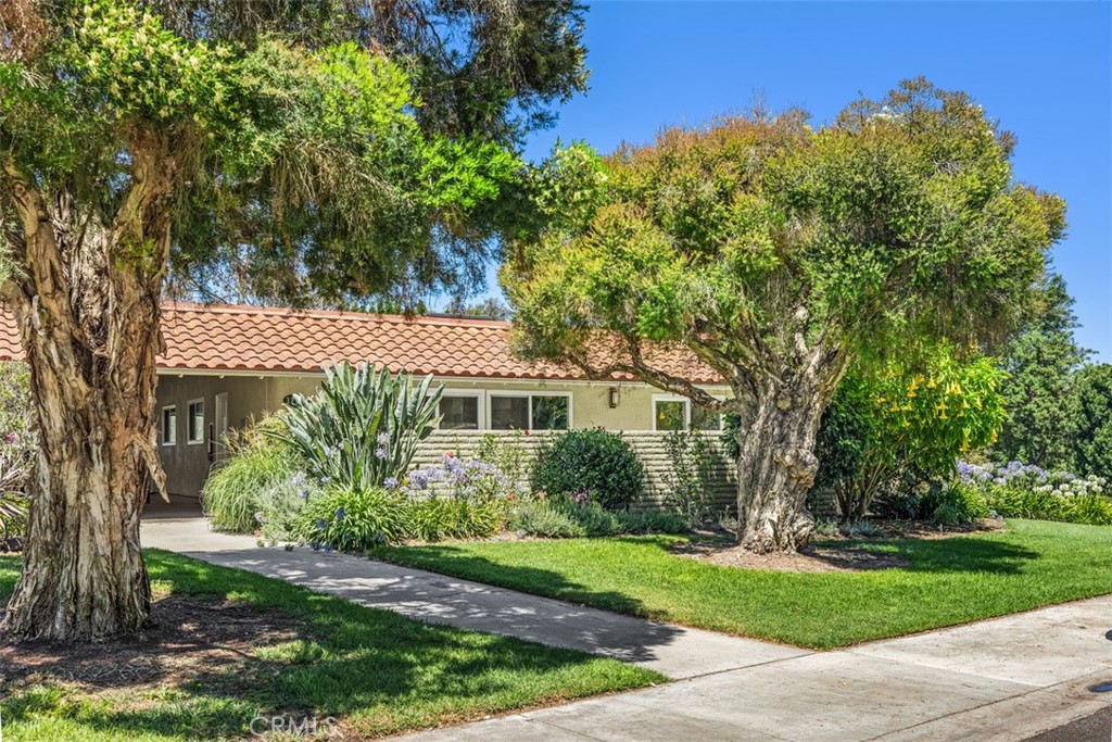 3253 San Amadeo P