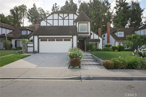 24236 Mimosa Laguna Niguel CA 92677