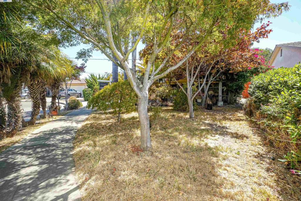 PARKMEAD - Residential