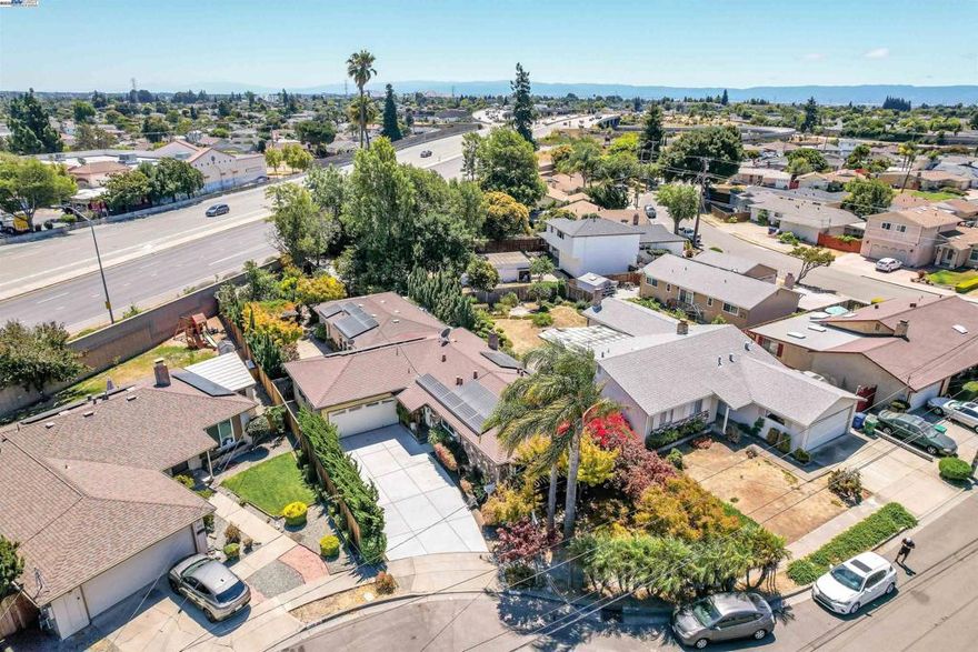 Great Expanded Home in quite court location on oversized lot.  Offers 6 bedrooms and 3 full bathrooms with a recently updated kitchen, living room with cozy fireplace, a family room, new vinyl flooring, all bathrooms have been updated, two with stall shower and one w/tub. Potential for ADU or for large families who want separate spaces.  LARGE lot offers even more possibilities. Centrally located near HWY 880 & HWY 92 and close to all conveniences.