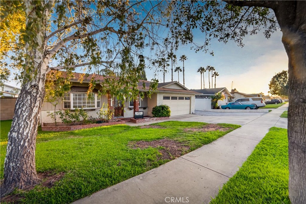10061 Monte Vista Street