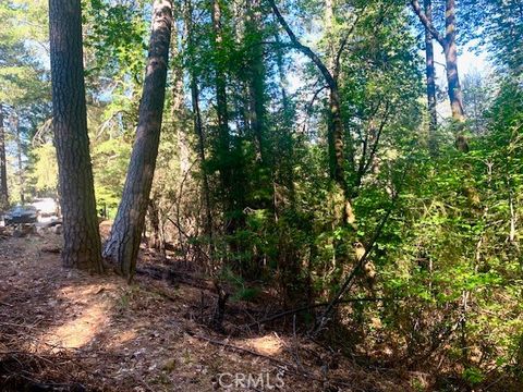 17325 Fernbrook Middletown CA 95461