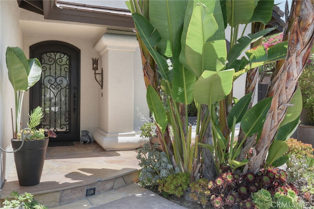 19066 Willow Brook