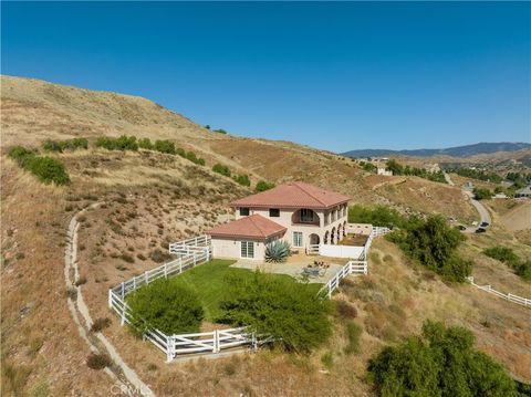 Photo of 13560 Sego Rd. Rd, Agua Dulce, CA 91390 (MLS # SR26016247)