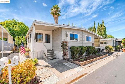 Photo of 4603 Balfour, Brentwood, CA 94513 (MLS # 41109155) Photo of 4603 Balfour, Brentwood, CA 94513 (MLS # 41109155)