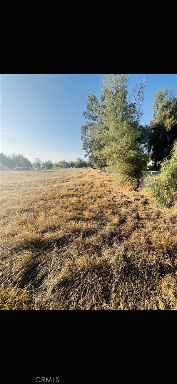 29390 Grechen Lane