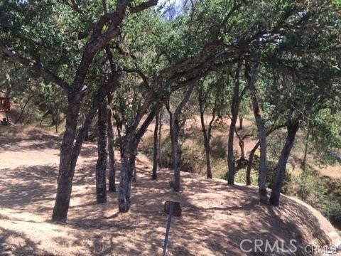 2677 Pine Ridge Road