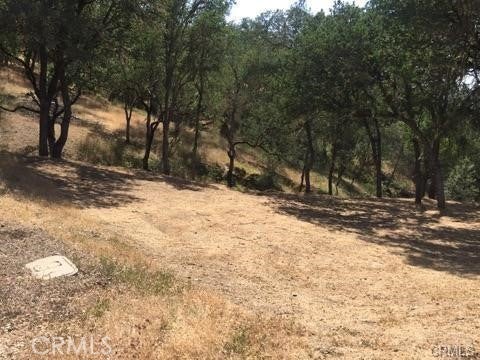 2677 Pine Ridge Road