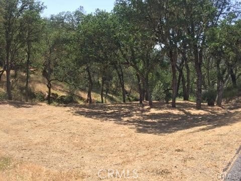 2677 Pine Ridge Road