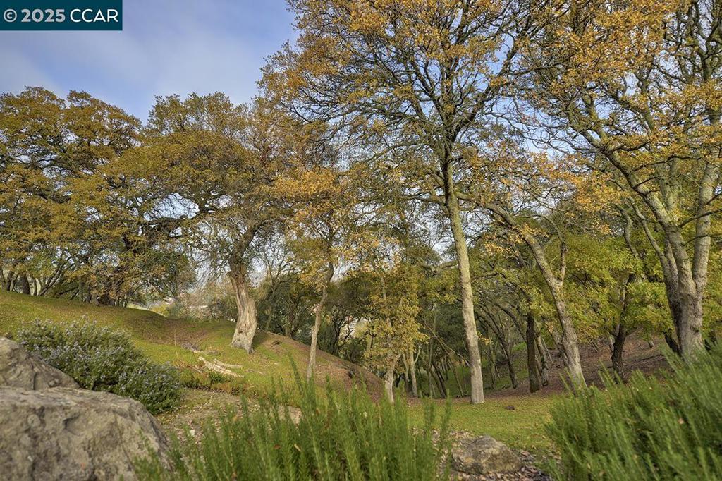 ROSSMOOR - Residential