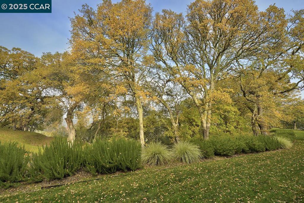 ROSSMOOR - Residential