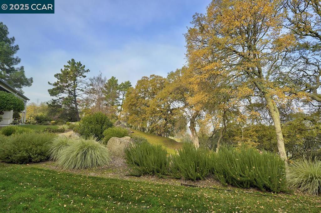 ROSSMOOR - Residential