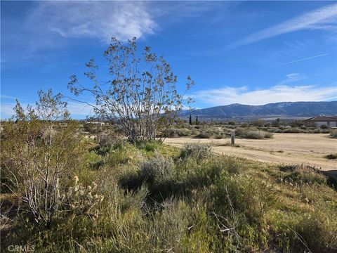 Photo of 0 Mountain Road, Pinon Hills, CA 92372 (MLS # TR26030522)