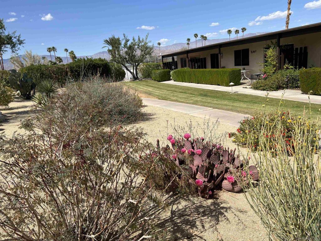 Borrego Springs - Residential