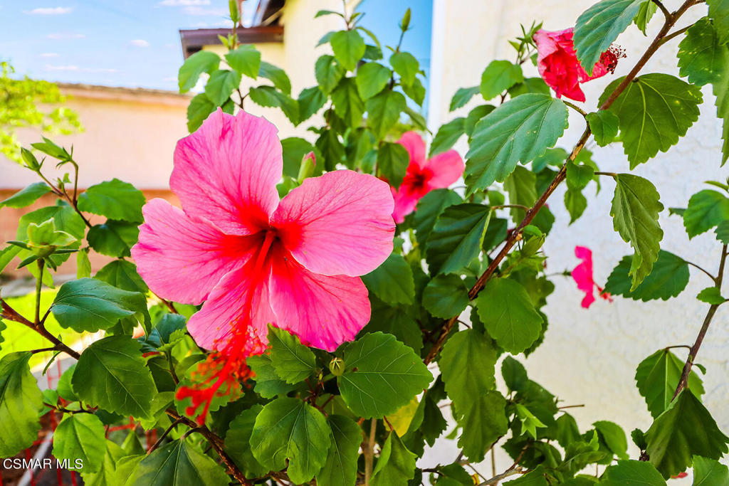 Other - OTHR - Residential