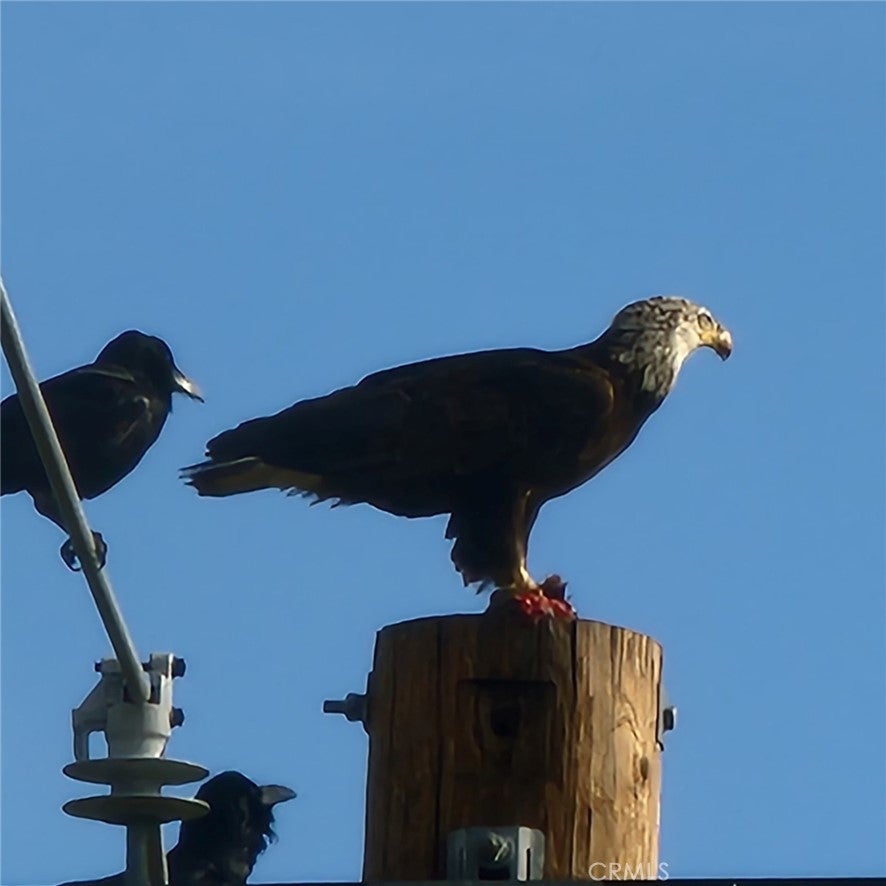 42355 Fresz Road