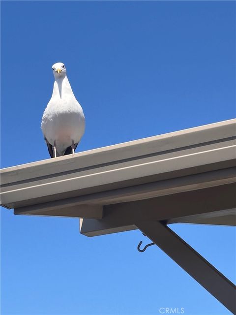 Tiny photo for 1154 Santa Ysabel Ave, Los Osos, CA 93402 (MLS # SC26061362)