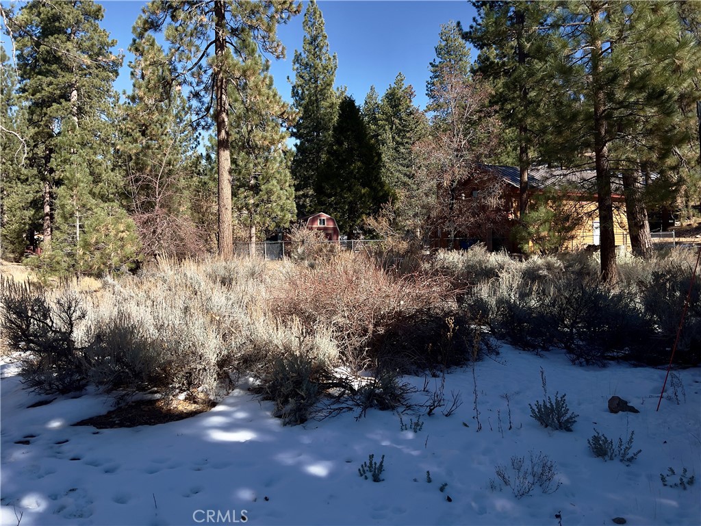 1 Canyon Road