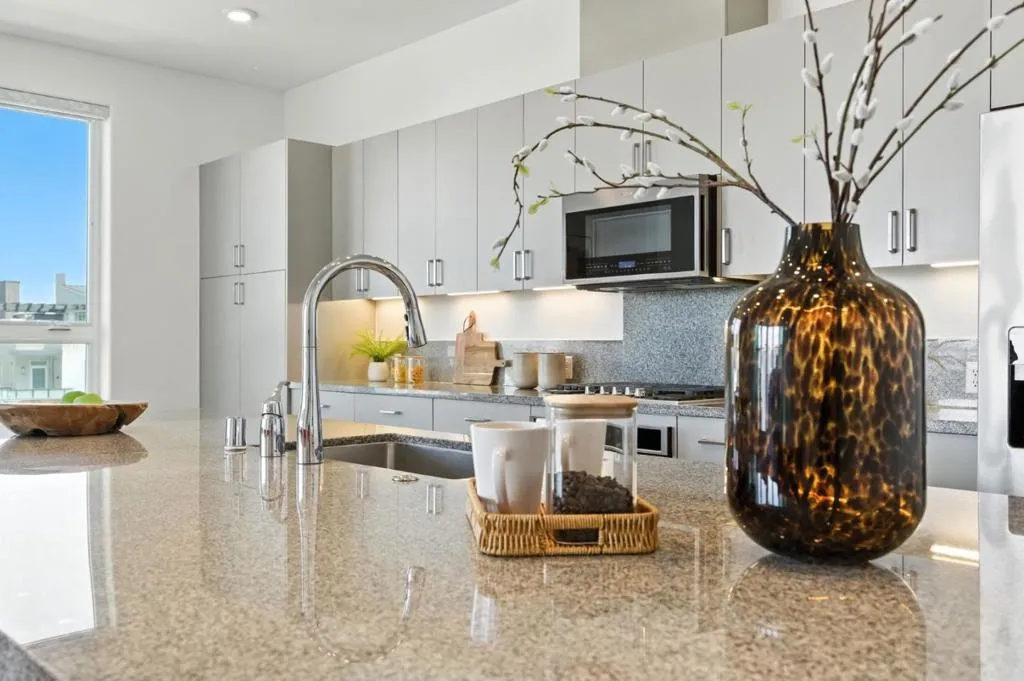 Fremont, California 94539, United States, 3 Bedrooms Bedrooms, ,2 BathroomsBathrooms,Residential,Active,161430