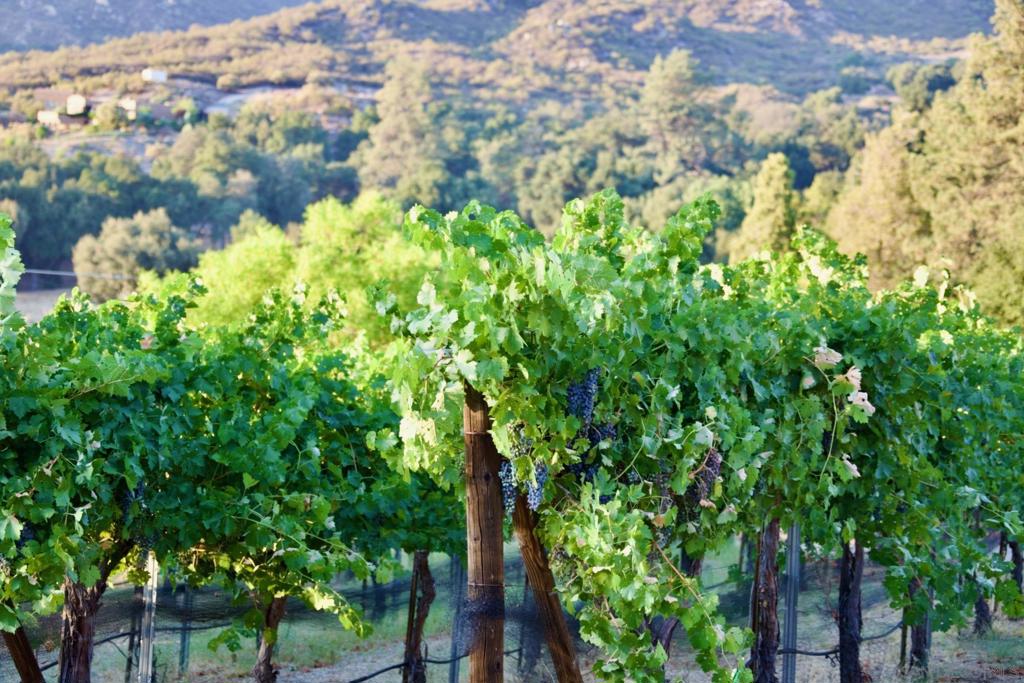 Warner Springs - Residential