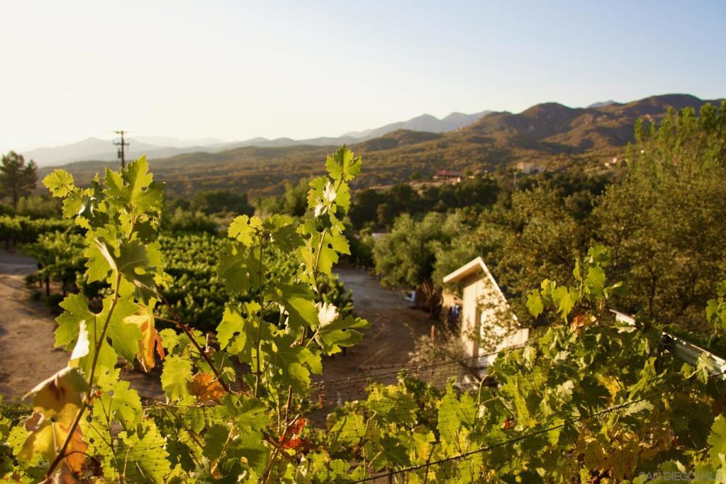 Warner Springs - Residential