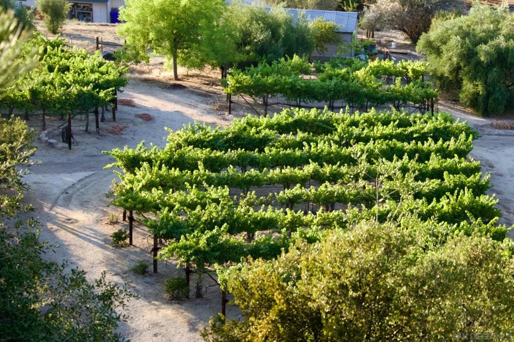 Warner Springs - Residential