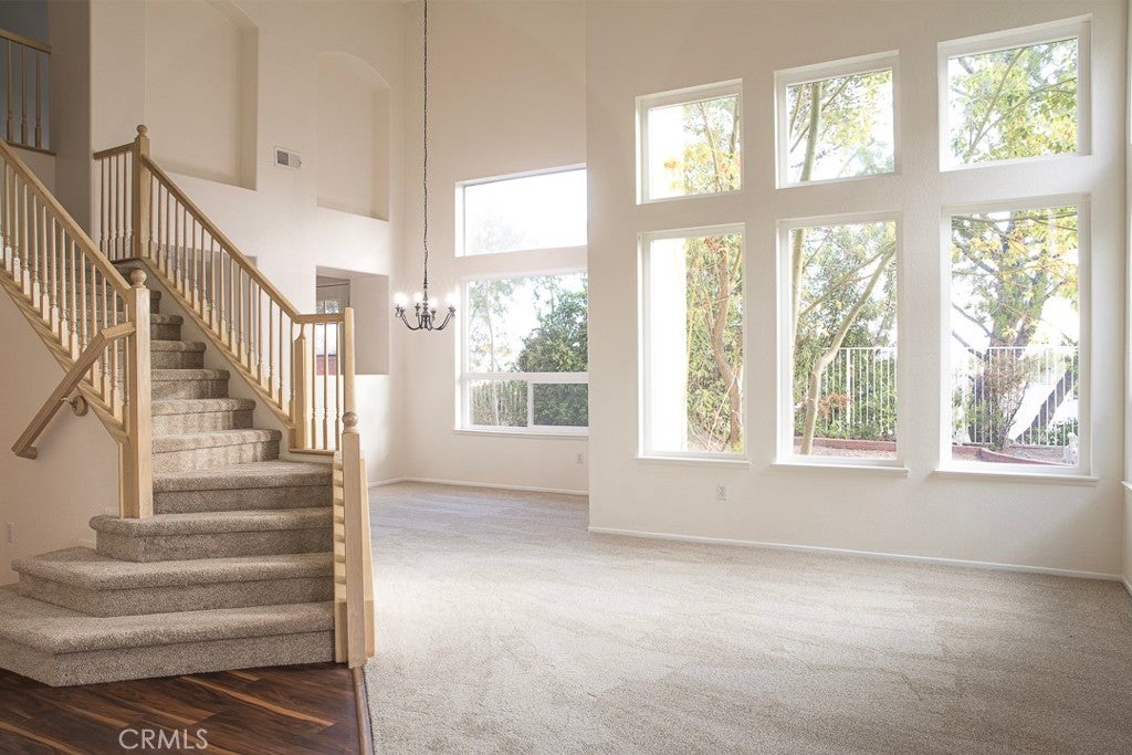 9124 Camphor Tree Court