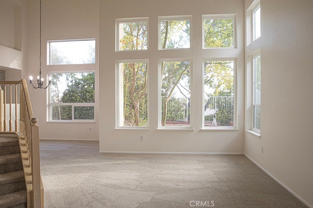 9124 Camphor Tree Court