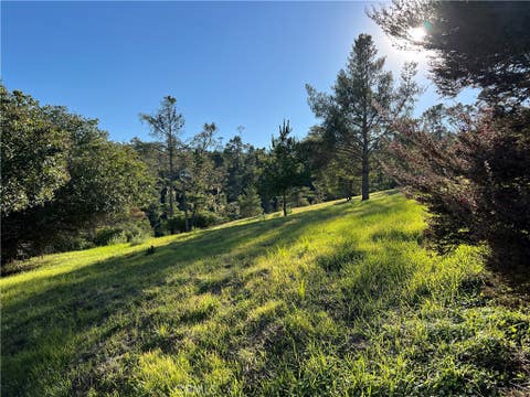 Tiny photo for 0 London Lane, Cambria, CA 93428 (MLS # SC26188077)