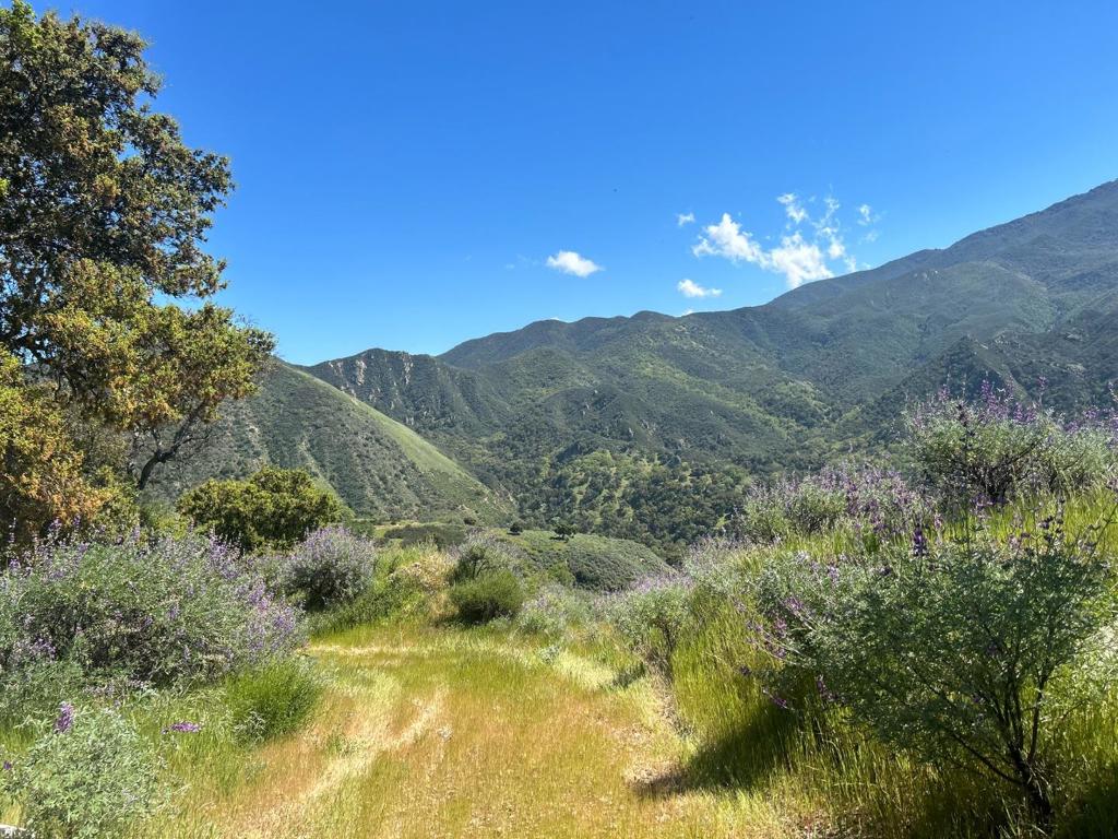 47208 Arroyo Seco Road