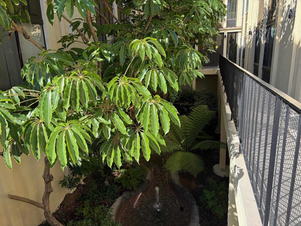 North Park - Residential