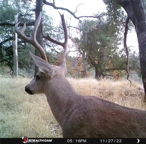 Tiny photo for 0 Tres Vista, Paso Robles, CA 93446 (MLS # NS26058065)