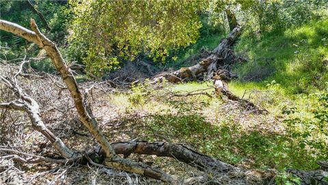 Tiny photo for 0 Tres Vista, Paso Robles, CA 93446 (MLS # NS26058065)