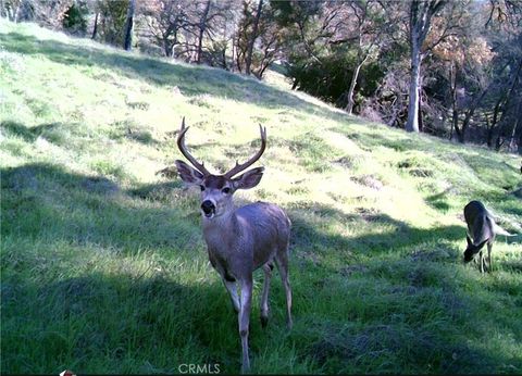 Tiny photo for 0 Tres Vista, Paso Robles, CA 93446 (MLS # NS26058065)