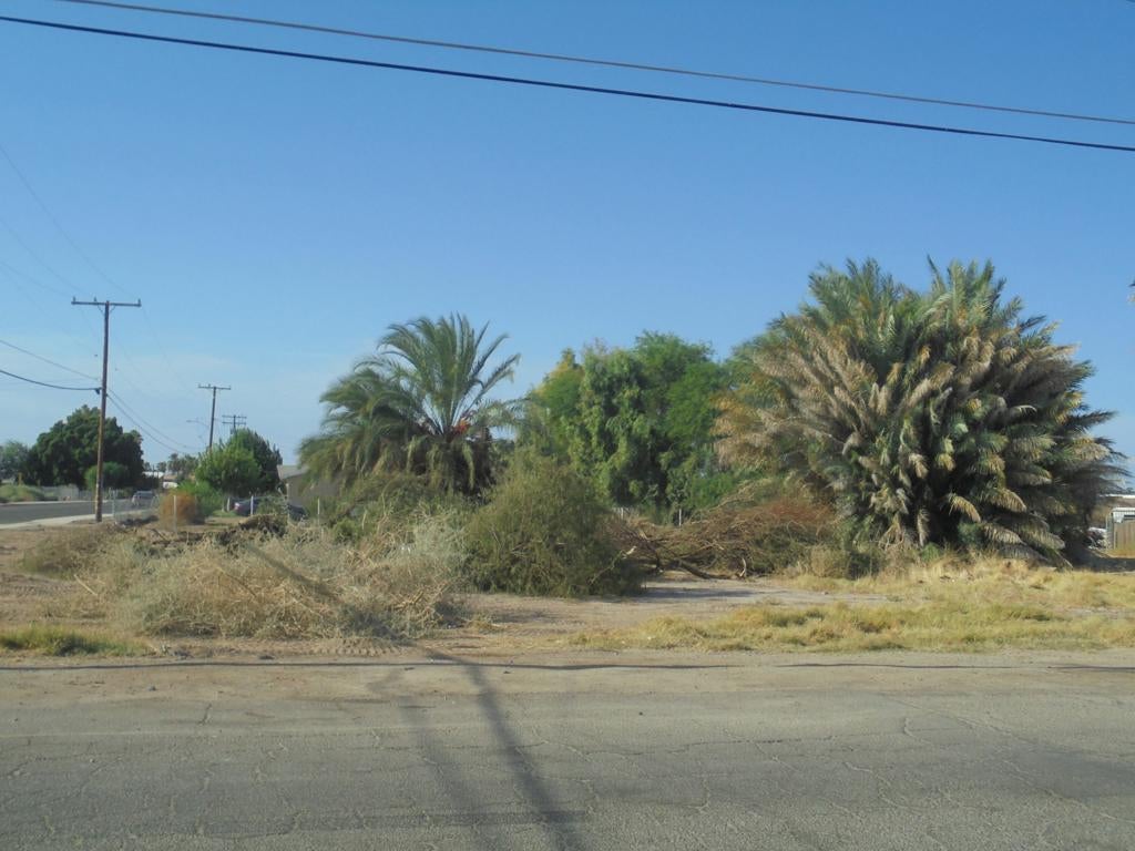 0 Solano Avenue