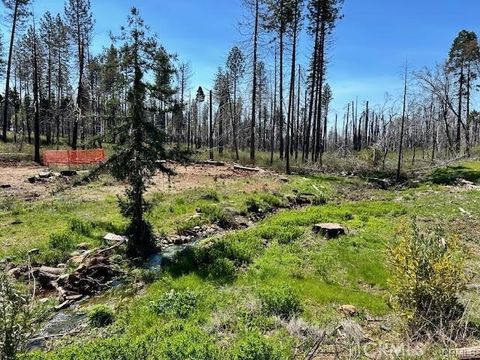 Photo of 6230 Ponderosa Way, Magalia, CA 95954 (MLS # SN26082734)