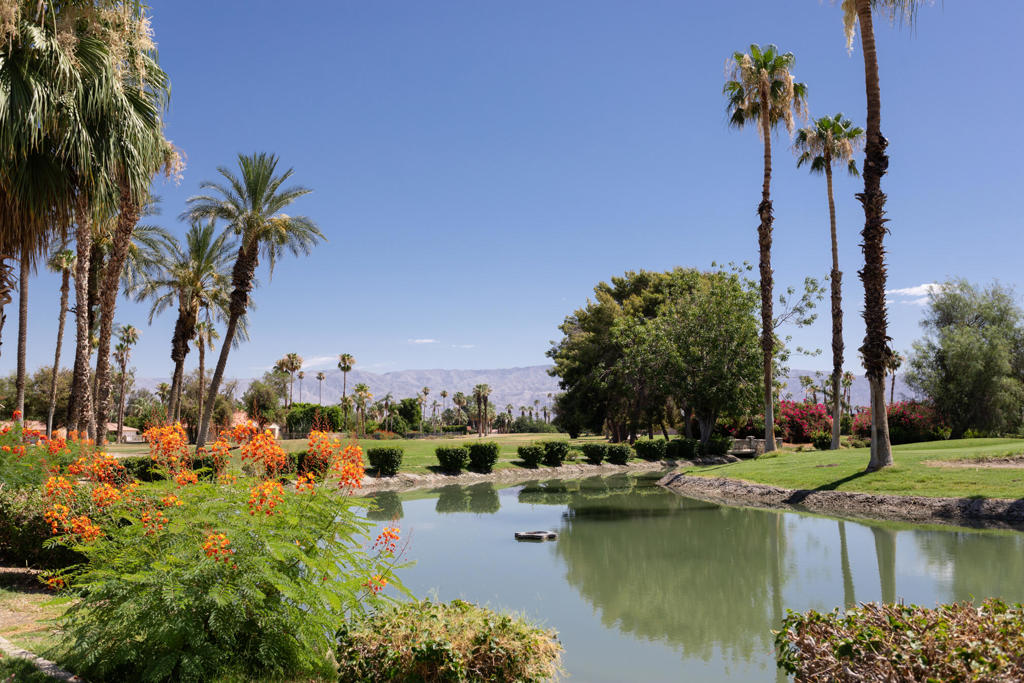 Indian Palms (31432) - Residential