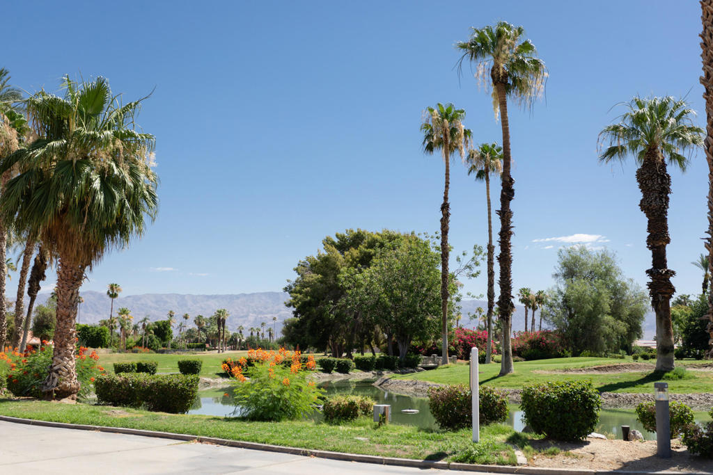 Indian Palms (31432) - Residential