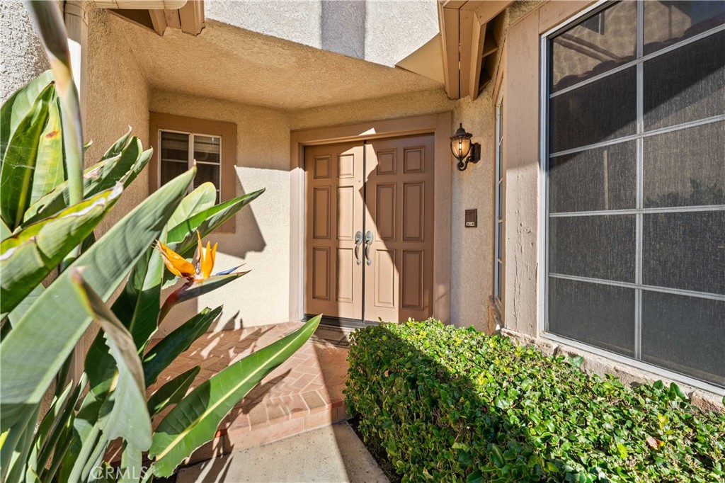 29746 Michelis Street