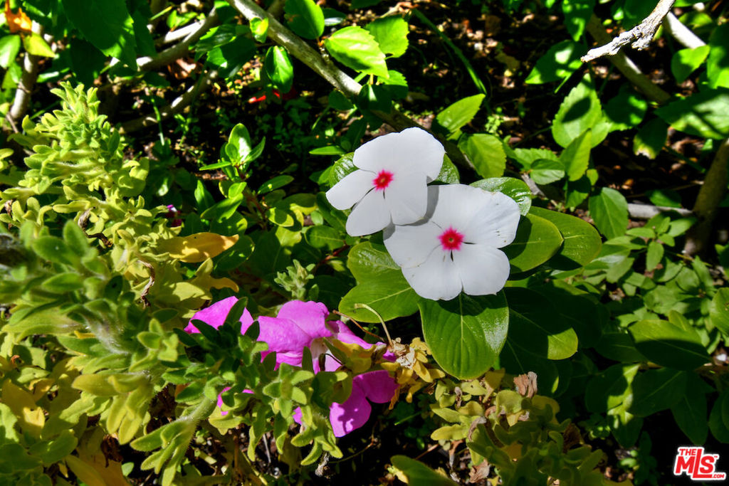 El Encanto - Residential